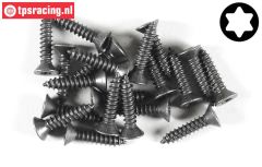 FG6912/19 Torx Countersunk sheet metal Ø4,2-L19 mm, 20 pcs.