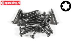 FG6914/13 Torx Button Head sheet metal Ø2,9-L13 mm, 15 pcs.