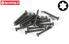 FG6914/19 Torx Button Head sheet metal Ø2,9-L19 mm, 15 pcs.