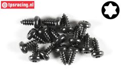 FG6916/09 Torx Pan-Head tapping screw Ø4,2-L9 mm, 15 pcs.
