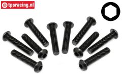 TPS94910 Button Head Screw M6-L30 mm, 10 pcs