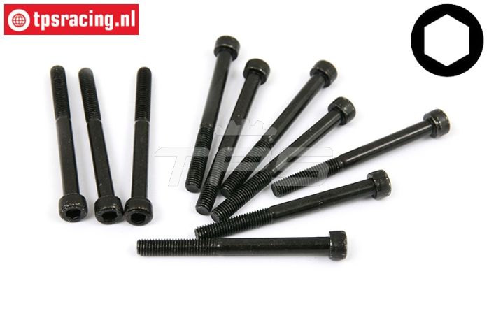 BWS56013/01 Socket Head Screw M5-L50 mm, 10 pcs